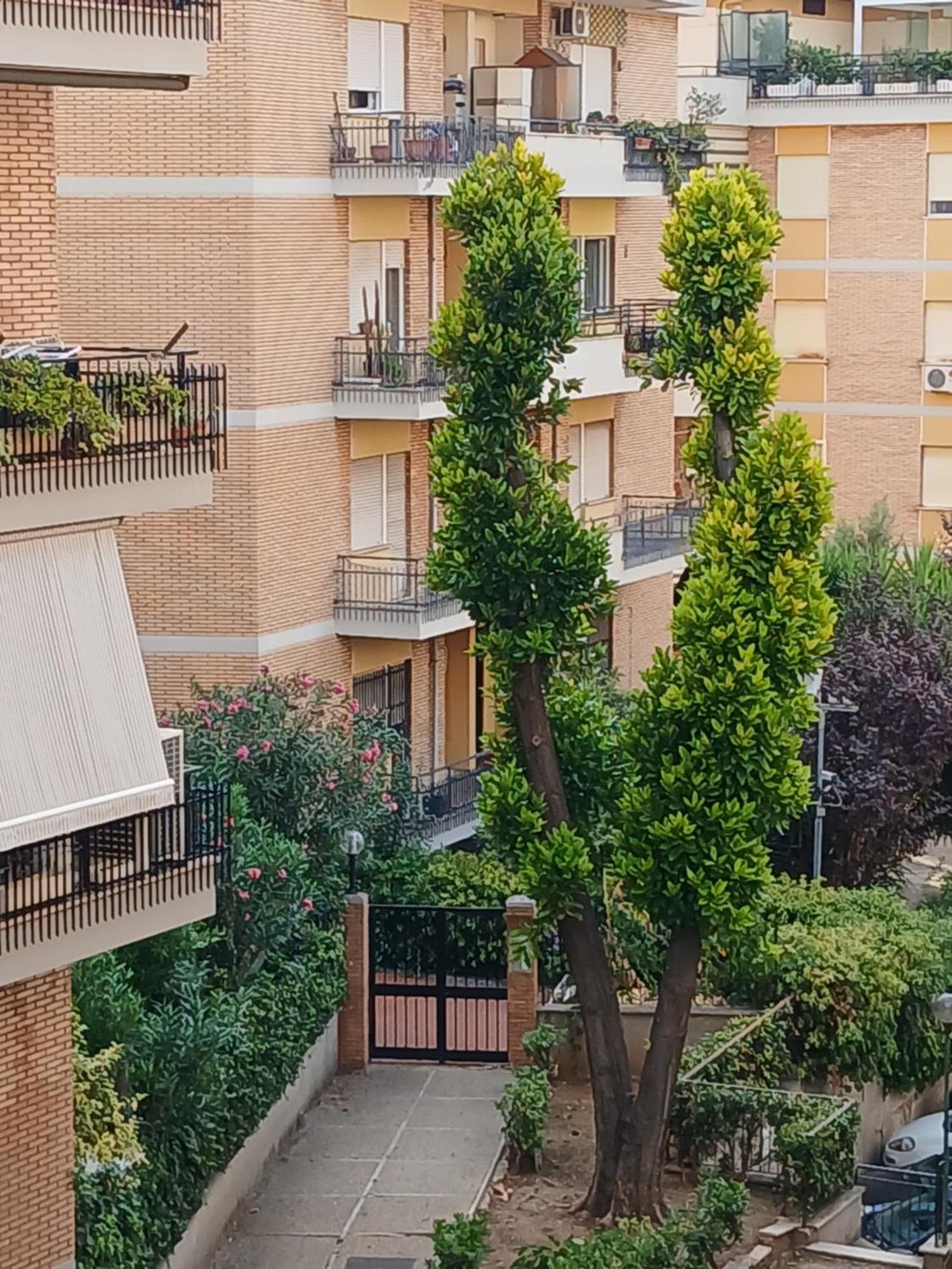 Appartement La Casa Di Antonella E Giuseppe